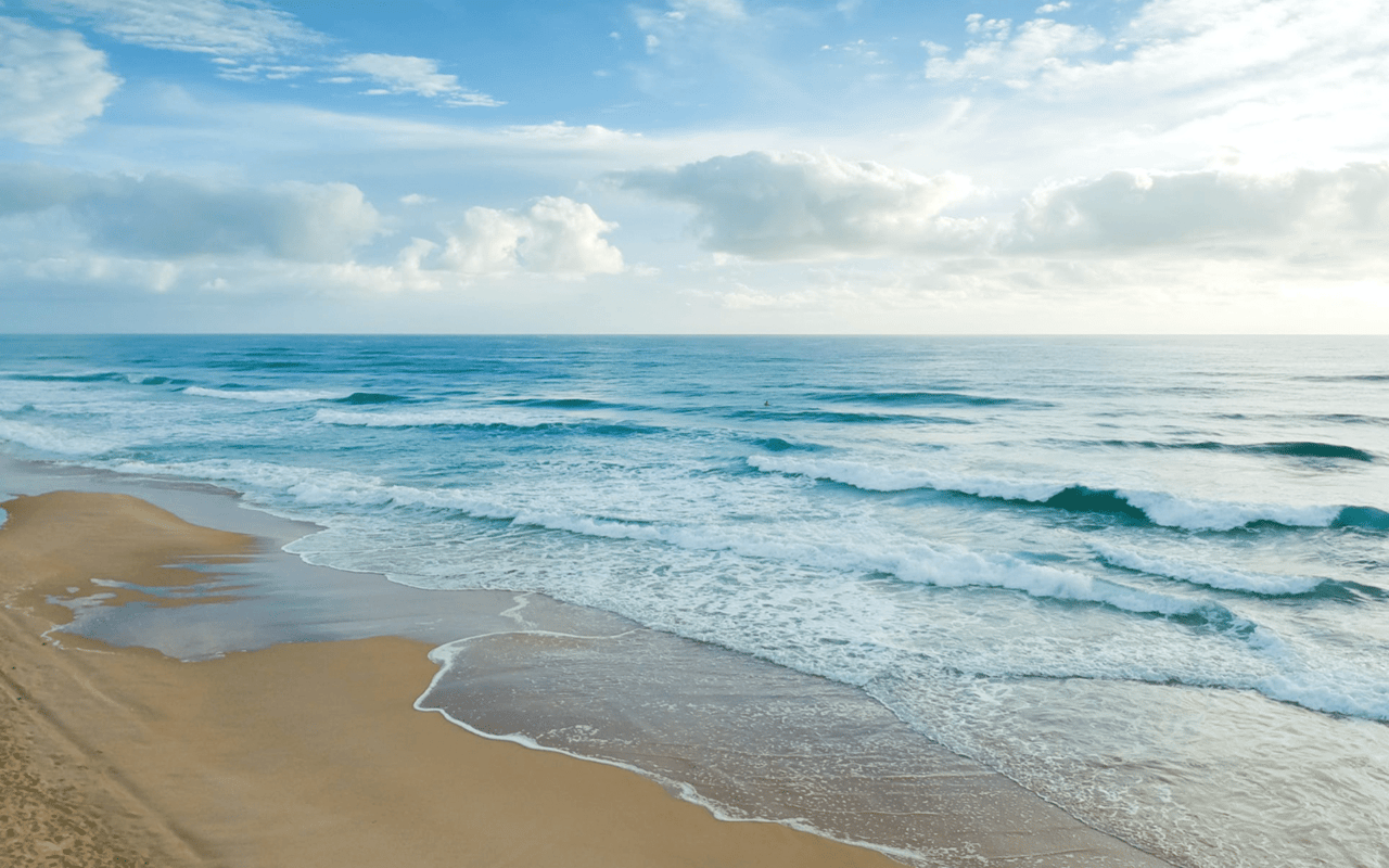 Spotlight on the Rosewood Residences: Luxurious Living in Lido Key, FL