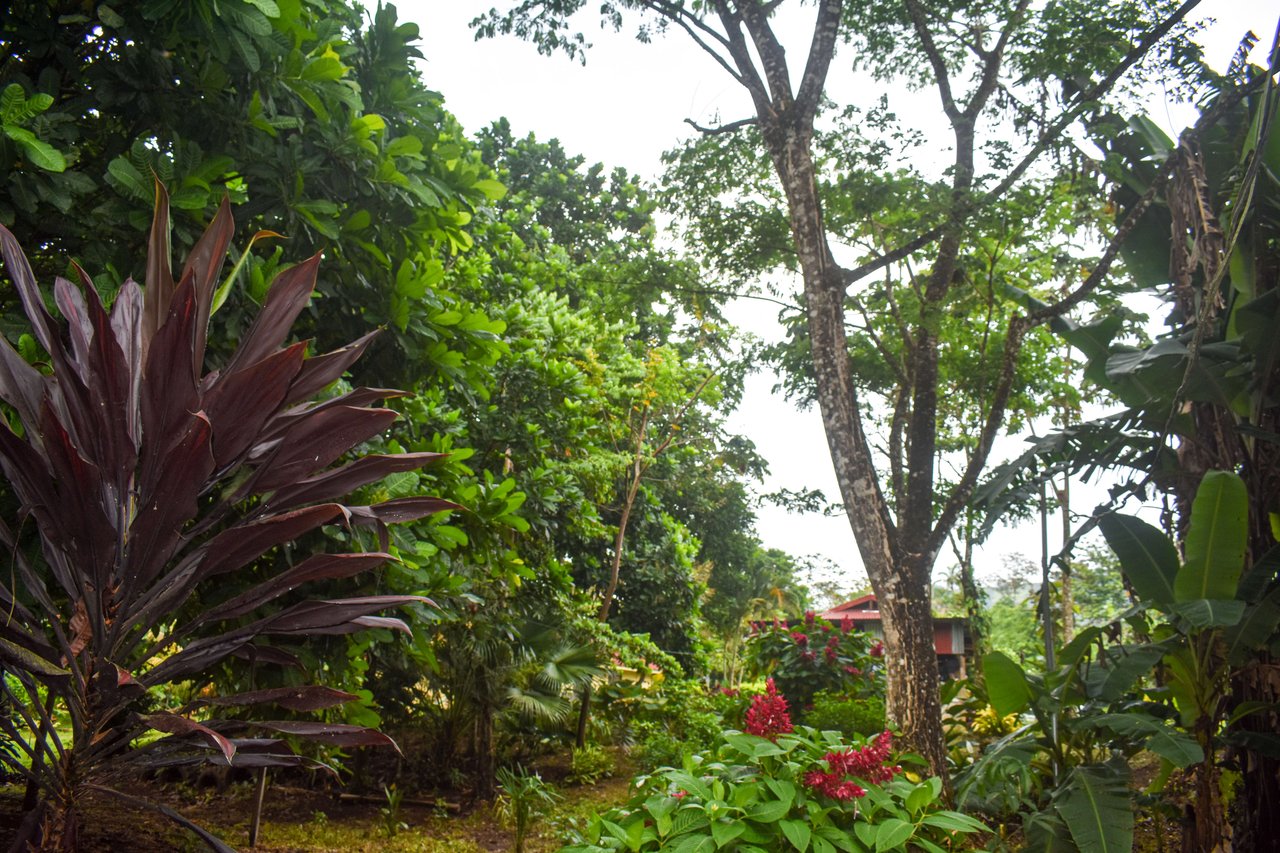 Casa Colibri with two small apartments | Bordered by the Bijagua River and Bijagua Creek.