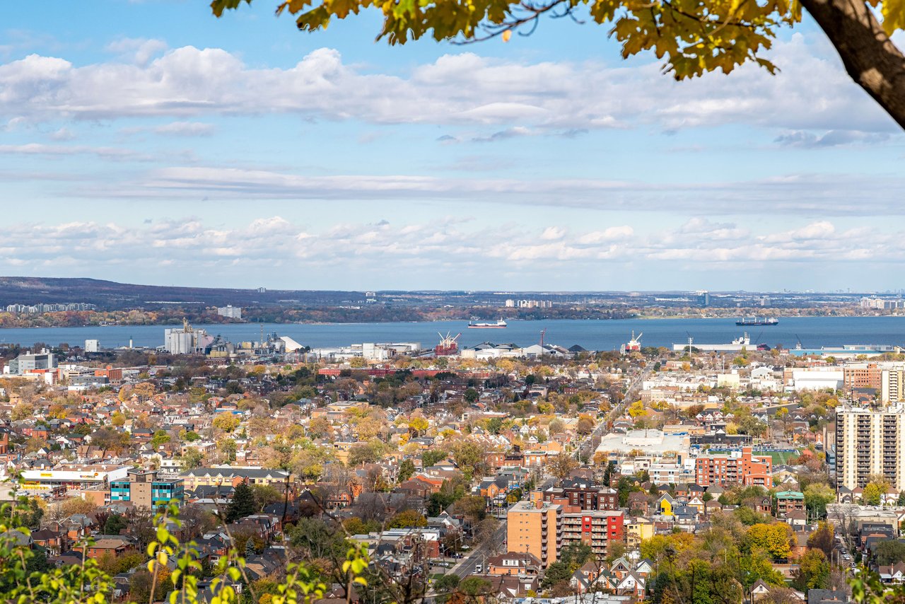 Panoramic Views from Hamilton Brow