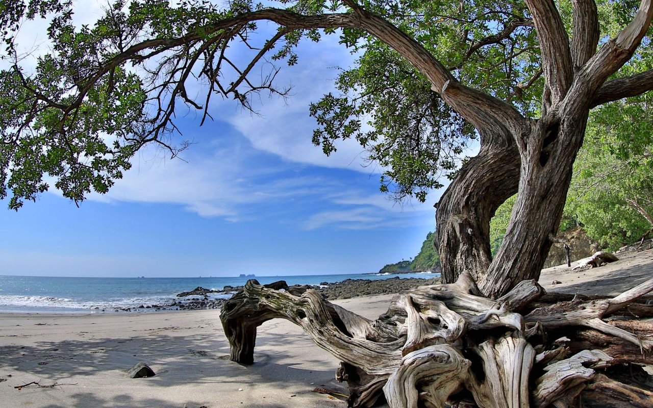 Playa Flamingo