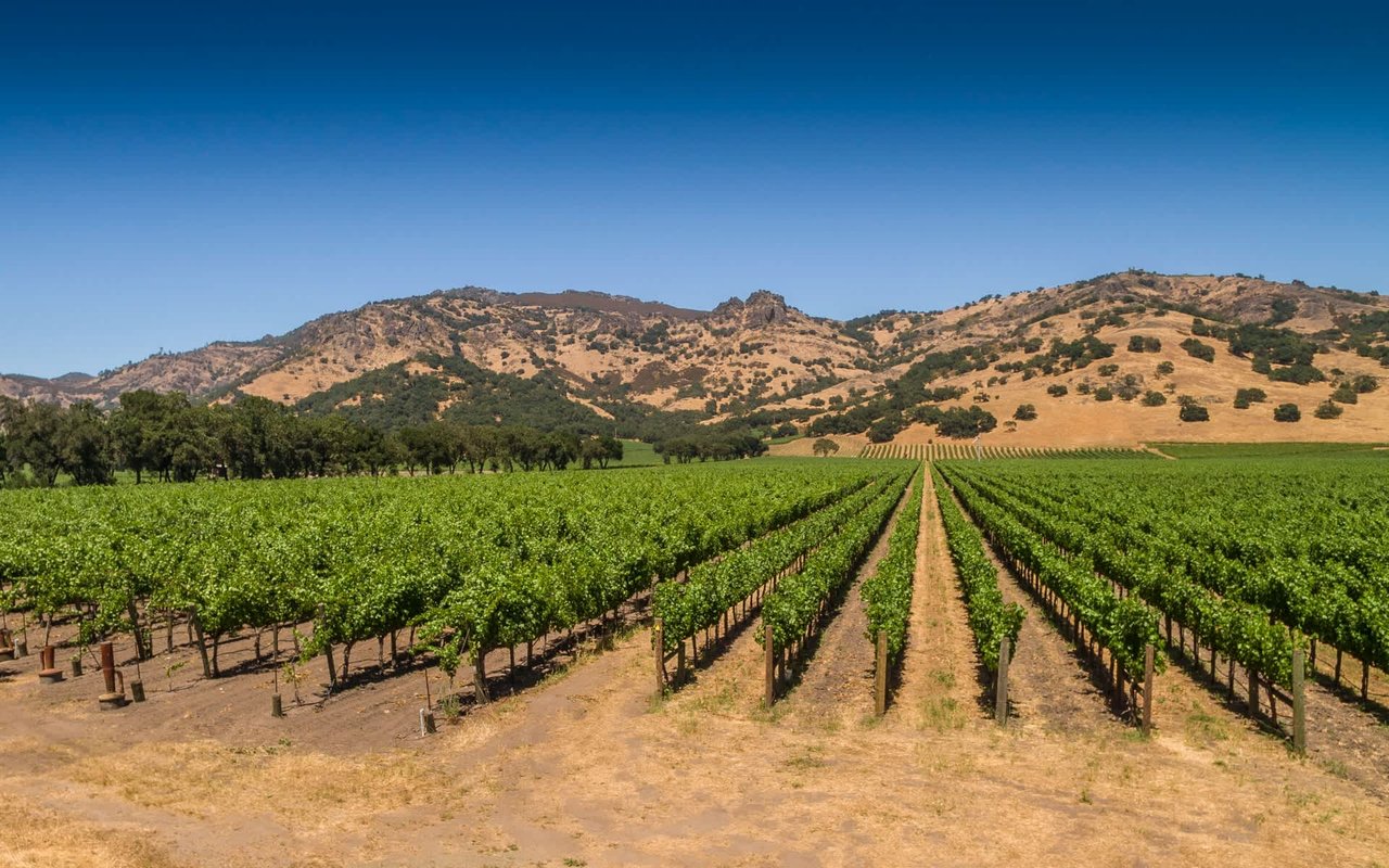Stag's Leap, Napa Valley