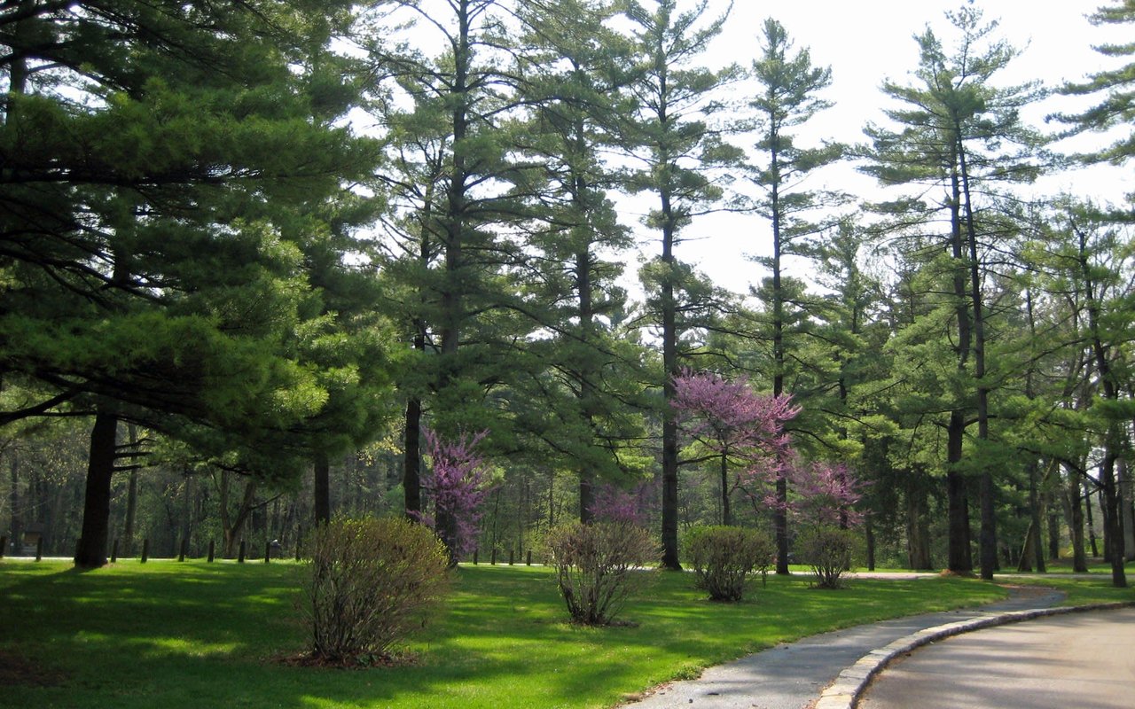 Forest Park
