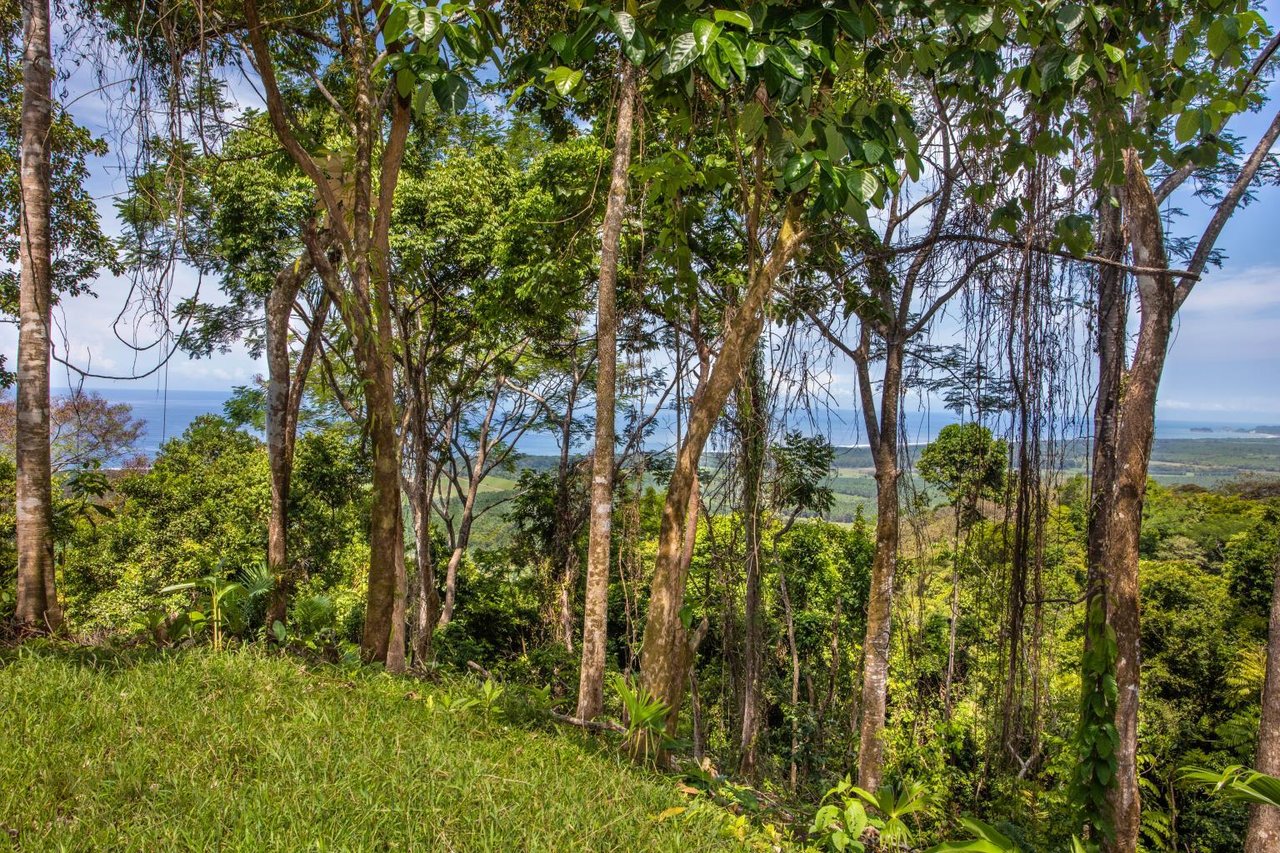 Incredible 7,000 Ft2 Ocean View Home With 200 Acre Reserve!