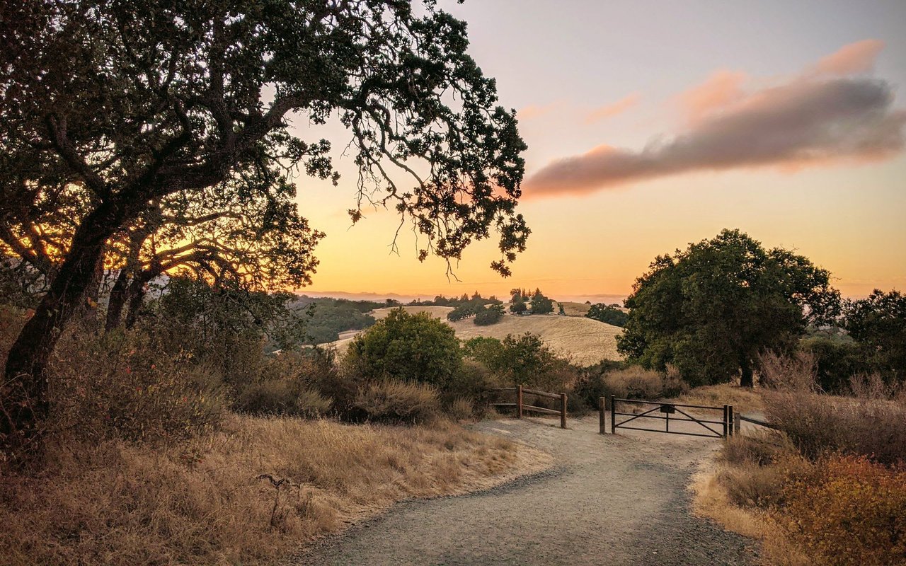 Los Altos Hills