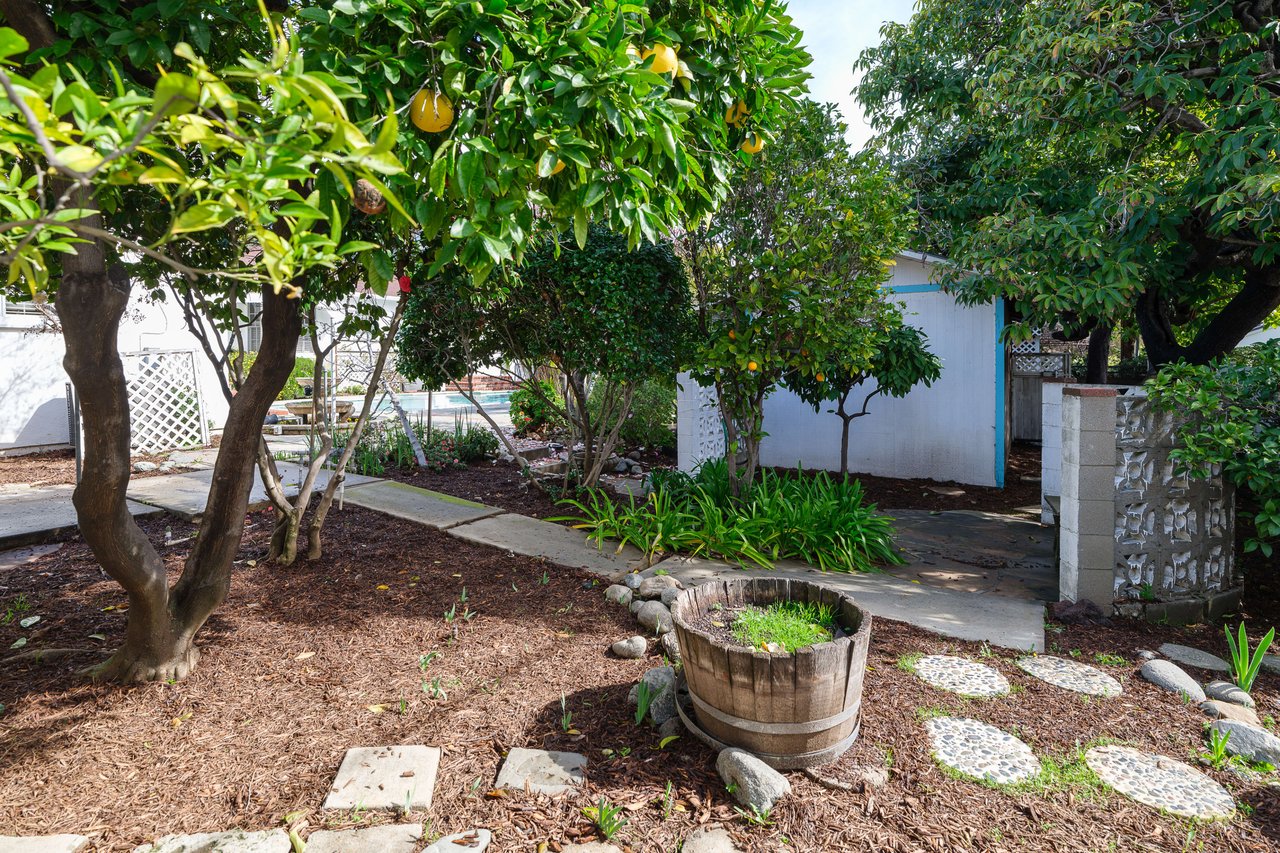 2570 Las Lunas Street