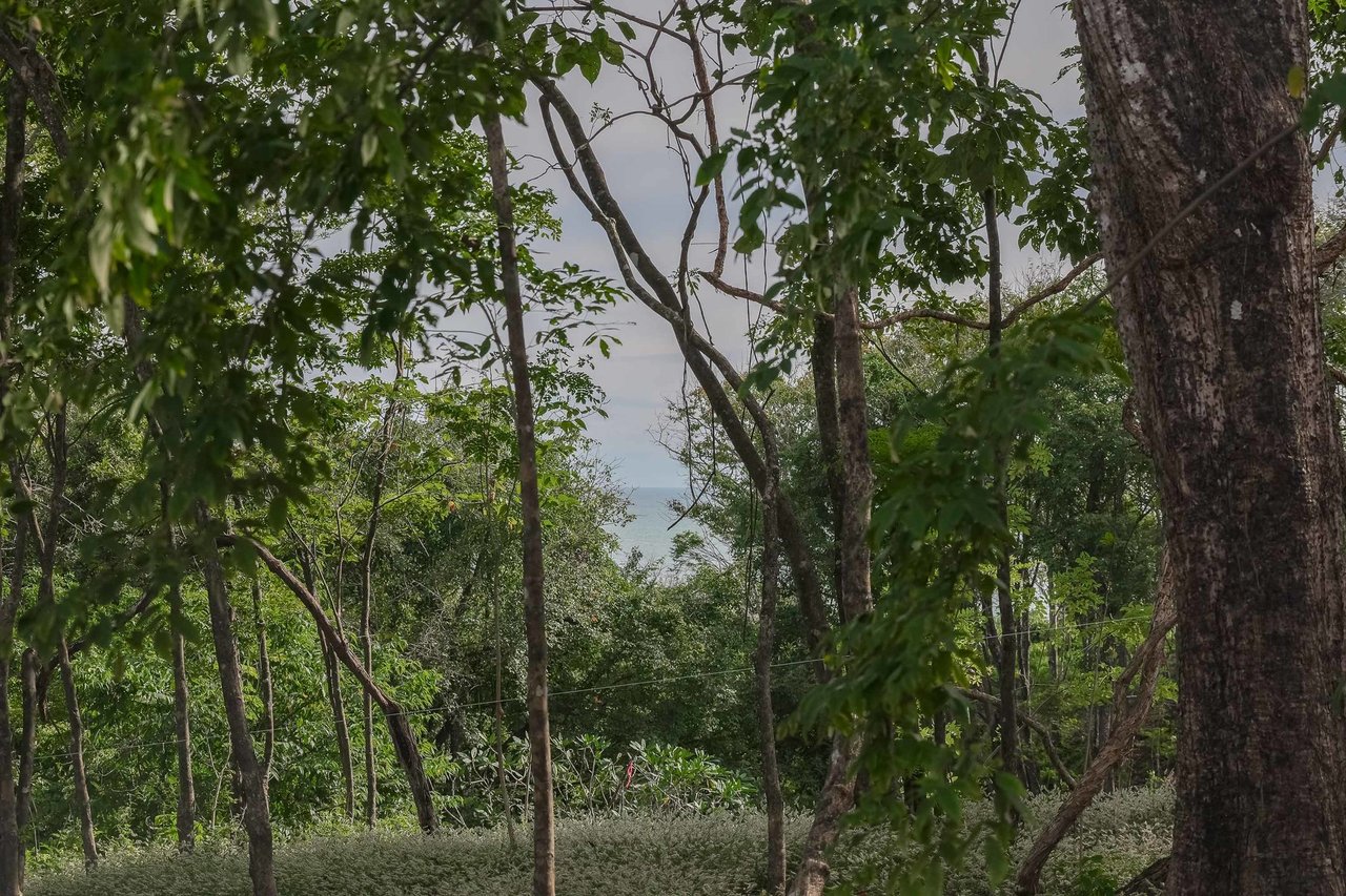 Sustainable Coastal Building Lot, Nosara, Guanacaste