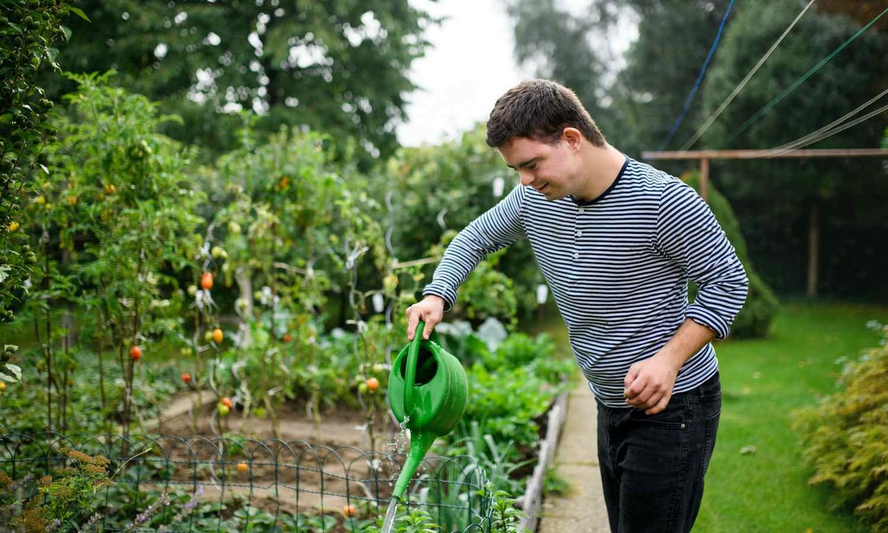 Make Your Yard a Place for Good with Environmentally Friendly Landscaping