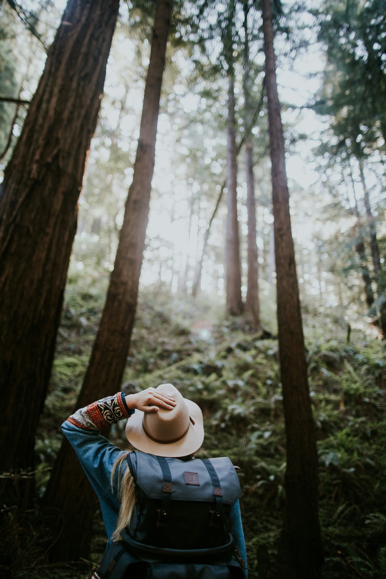 Healthy Living in Mill Valley: Fitness Centers, Yoga Studios, and Hiking