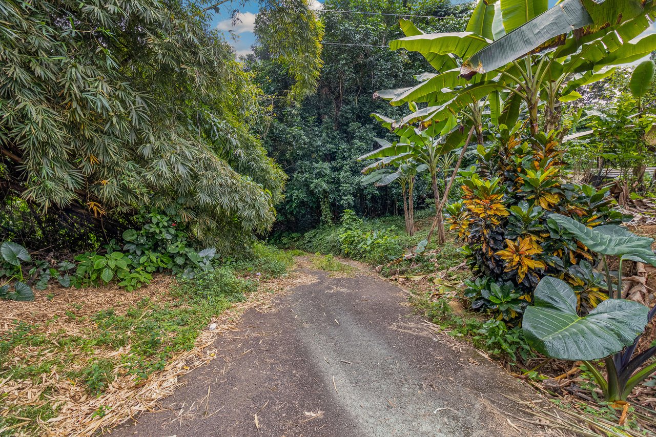 Jayuya with Airbnb  and Farming Potential