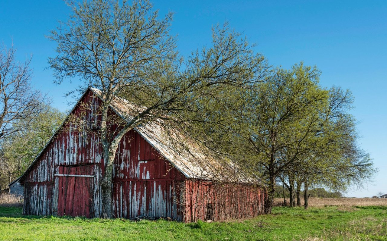 Collin County