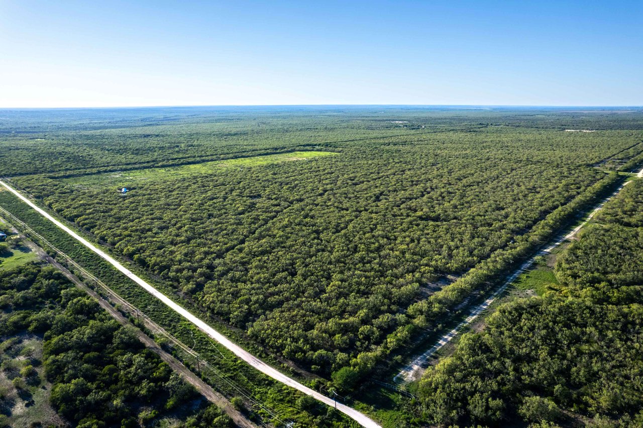 146 Acres CR 343 Charlotte