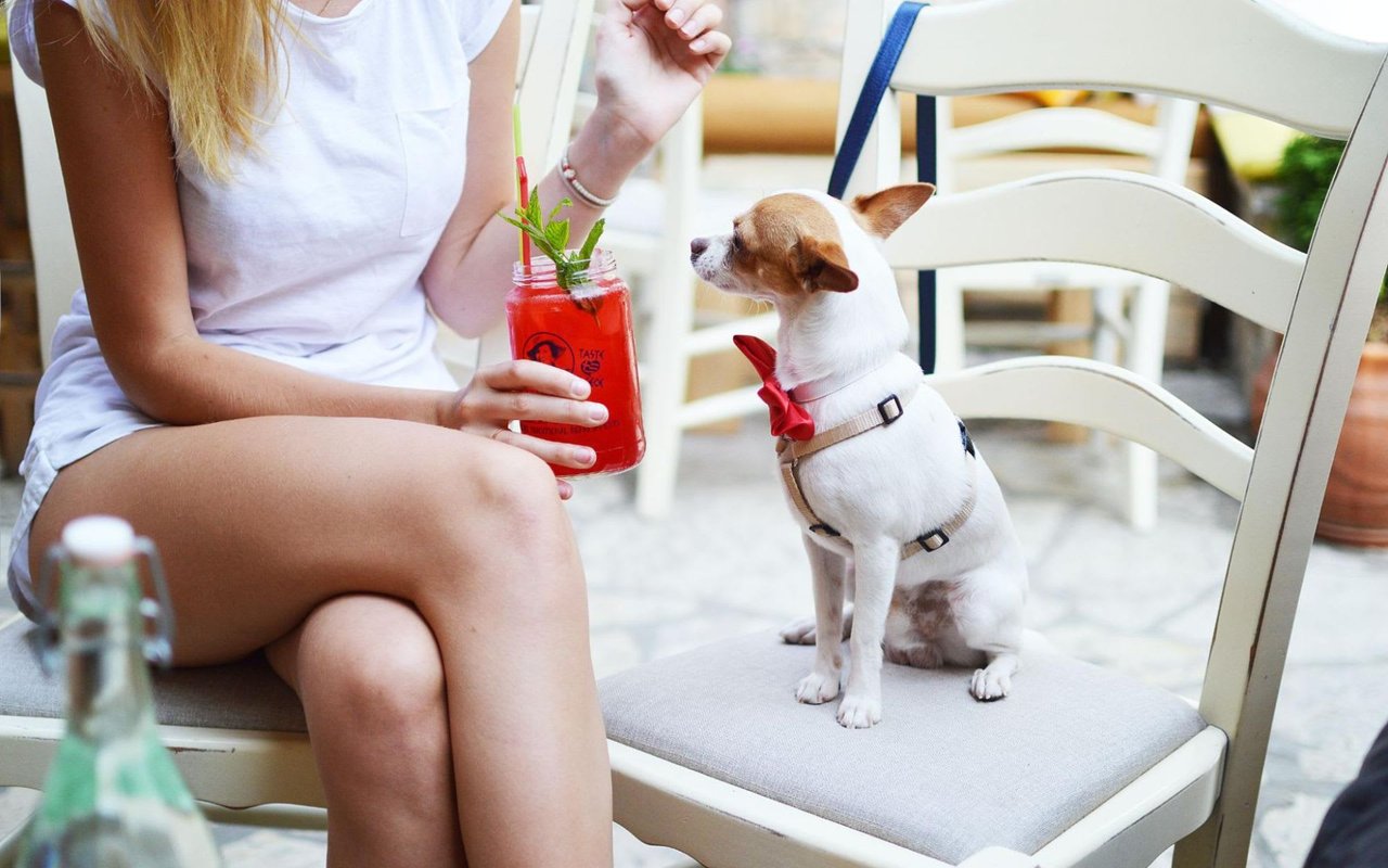 4 Best Dog-Friendly Waterfront Restaurants in Pebble Beach, Calif.