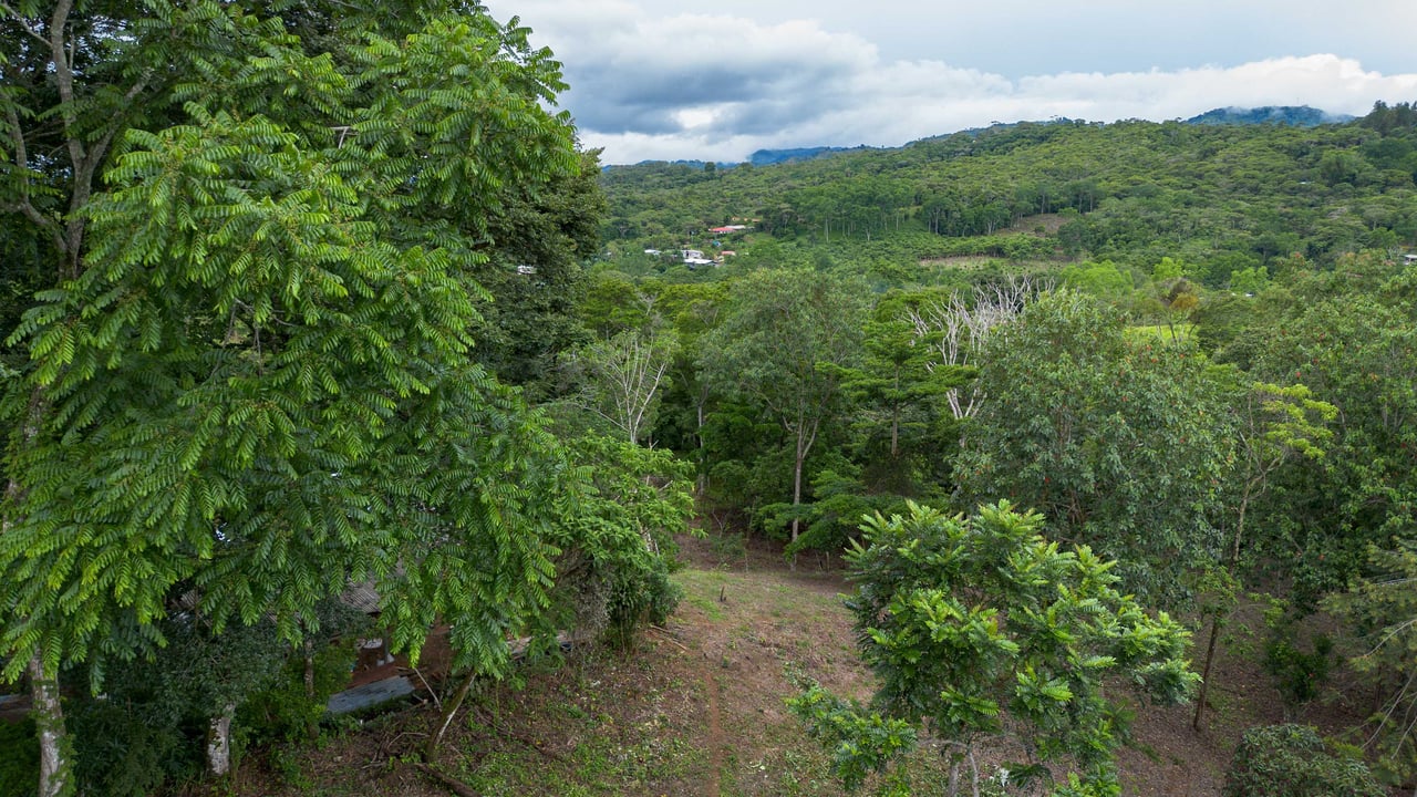  2.5 Acres of Fertile Land with Creek, Ready to Build