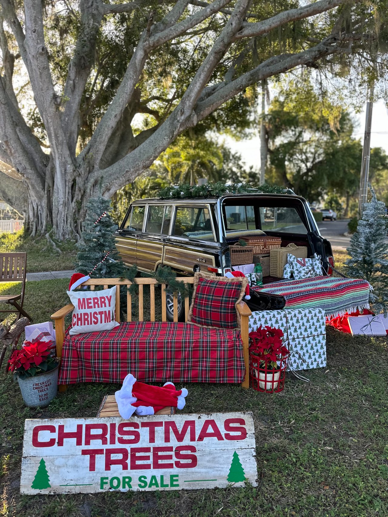 Meet and Greet with Santa photo area