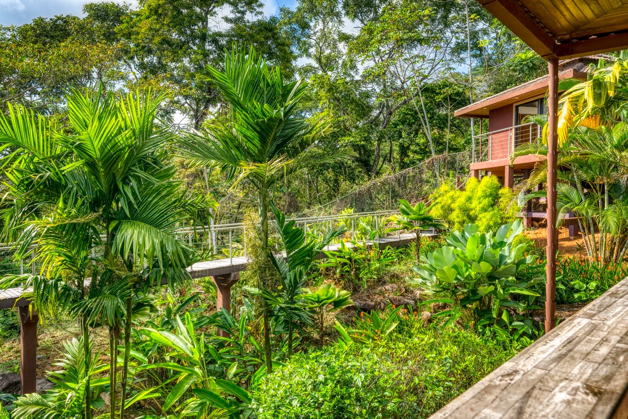 Stunning Ocean Views at Casa Perezoso