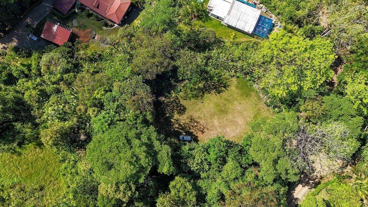 A prepared, 1.5 Acres jungle immersed lot with spectacular views of the Whale’s Tail. 
