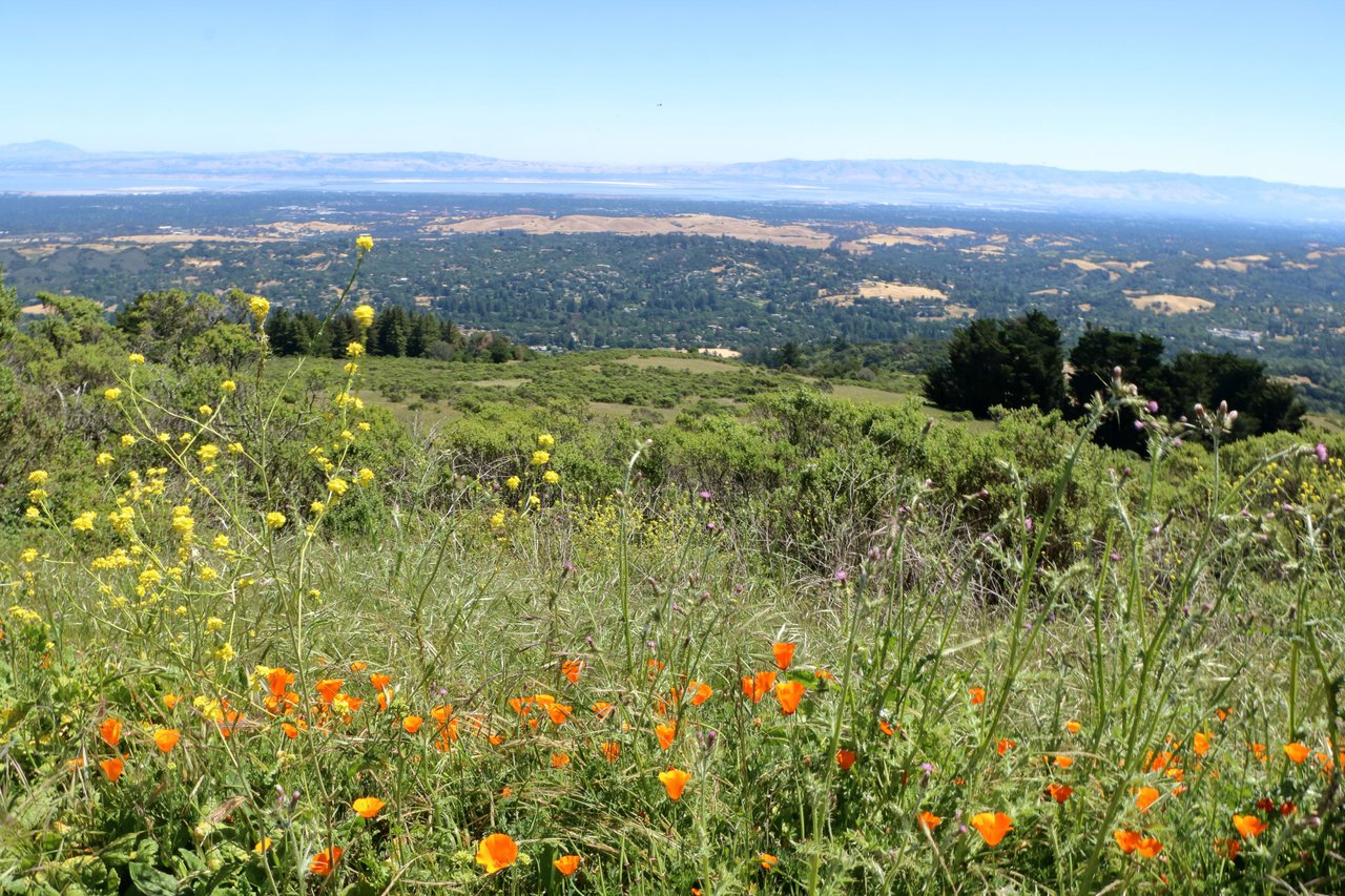 Portola Valley