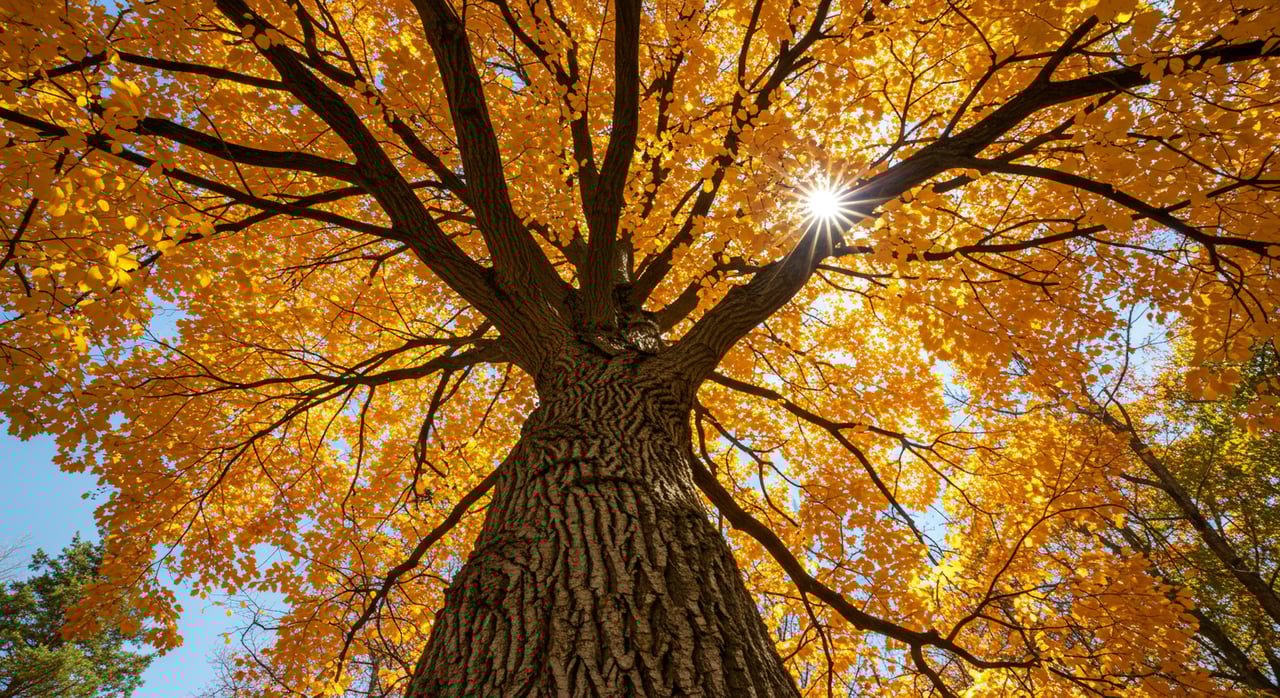 Why Selling This Fall May Be Your Best Move