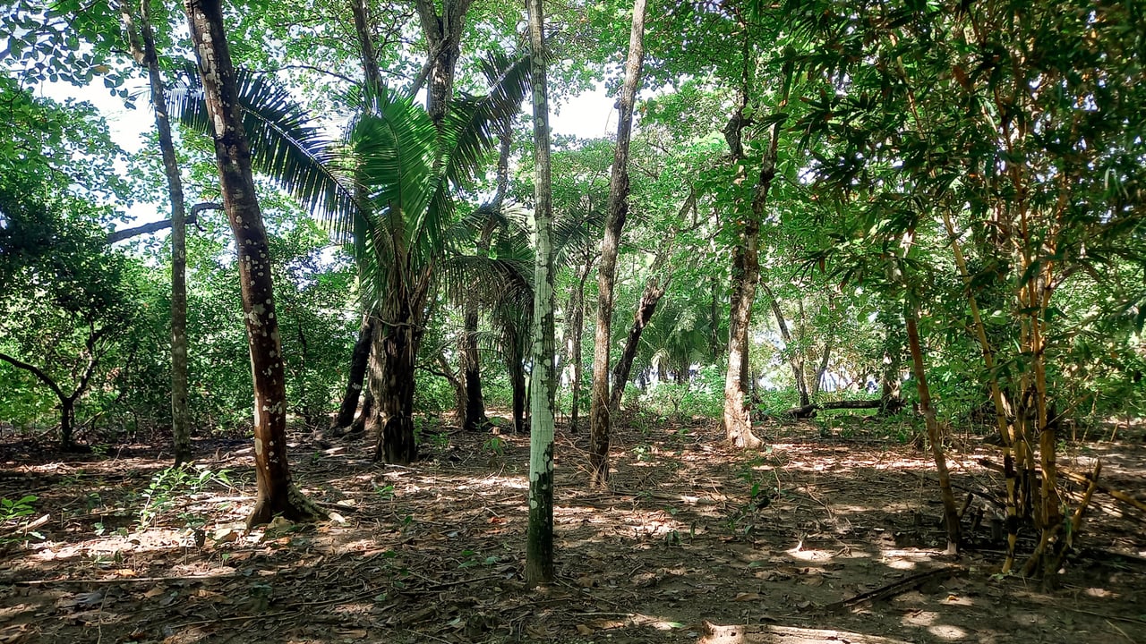 Beachfront Development Acreage, Santa Teresa, Puntarenas