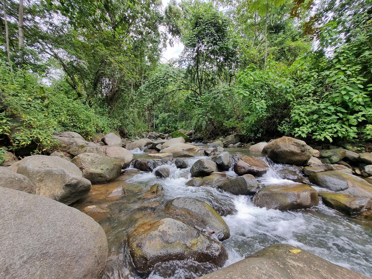 Riverfront Dream Property