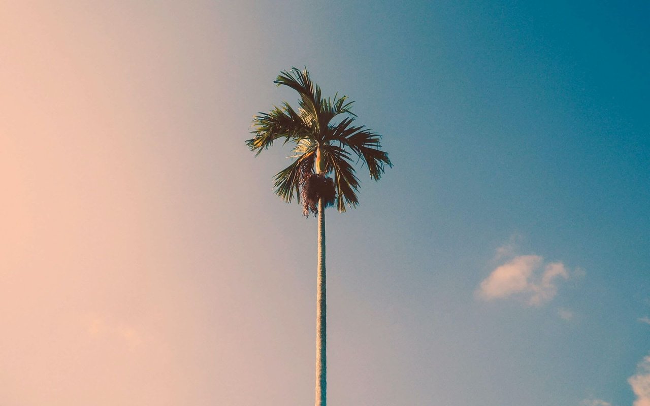 MAY CALENDAR OF EVENTS