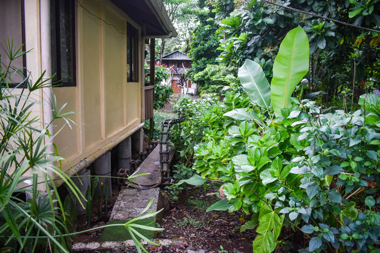 Casa Colibri with two small apartments | Bordered by the Bijagua River and Bijagua Creek.