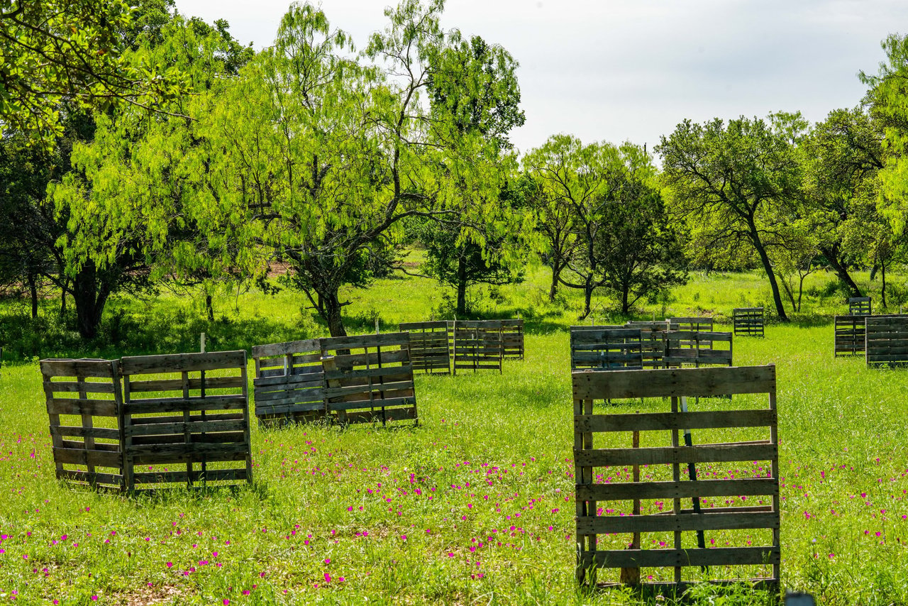 Cuatro Colinas Ranch