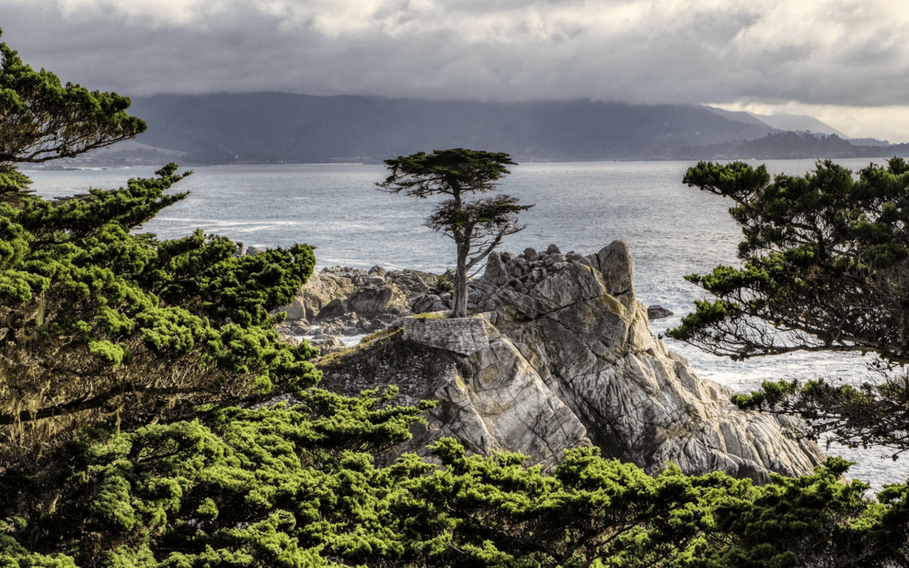 The 17-mile Drive: A Scenic Tour of Pebble Beach's Coastal Beauty