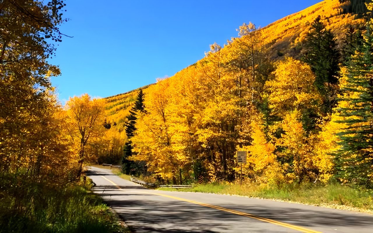 Enjoying Fall in the Roaring Fork Valley