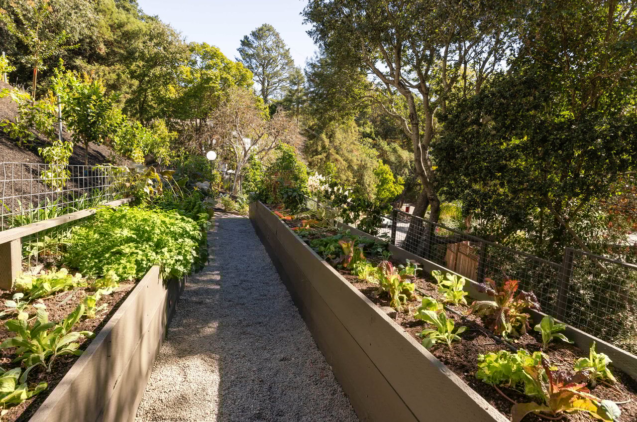 Exceptional Contemporary Renovation