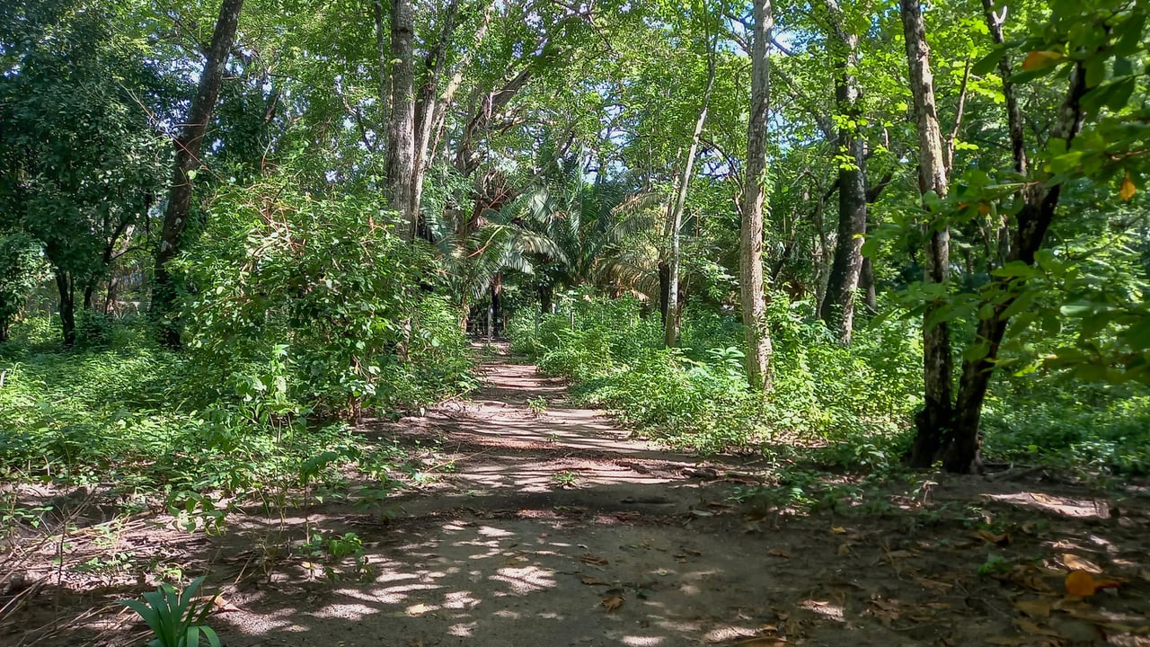 Beachfront Development Acreage, Santa Teresa, Puntarenas