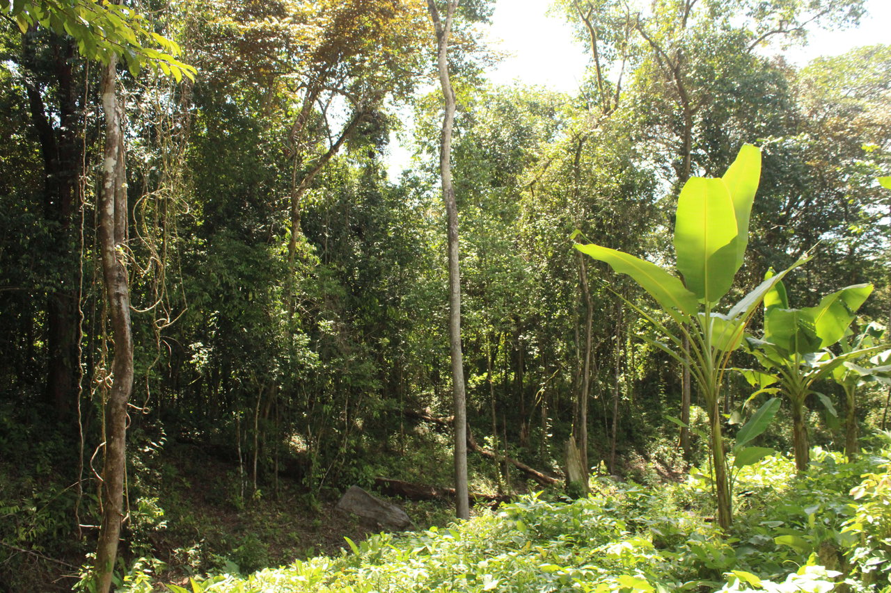 River Frontage Lot close to Uvita