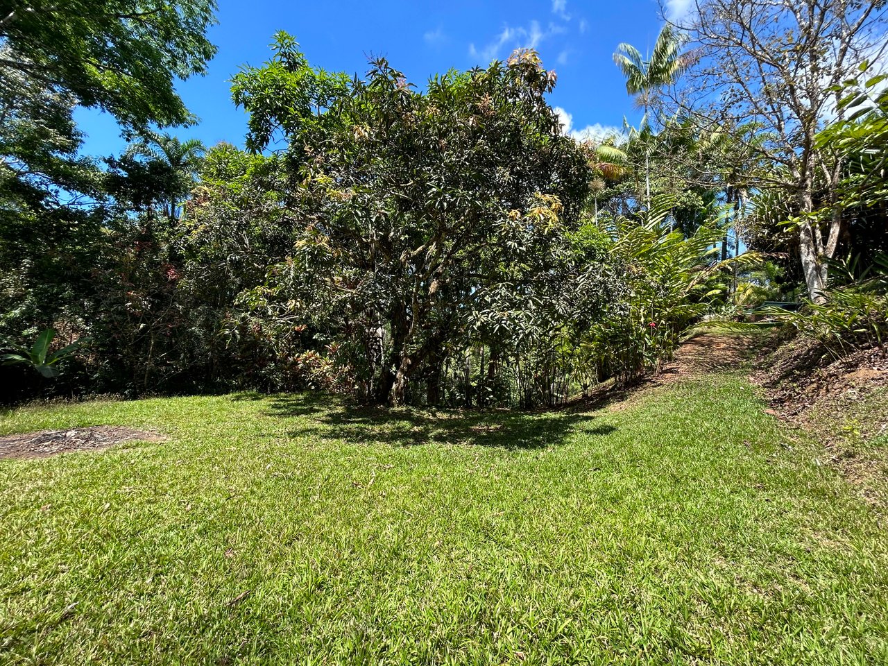 Casa La Luna, Cozy Home in Platanillo on 8 Acres of Land!