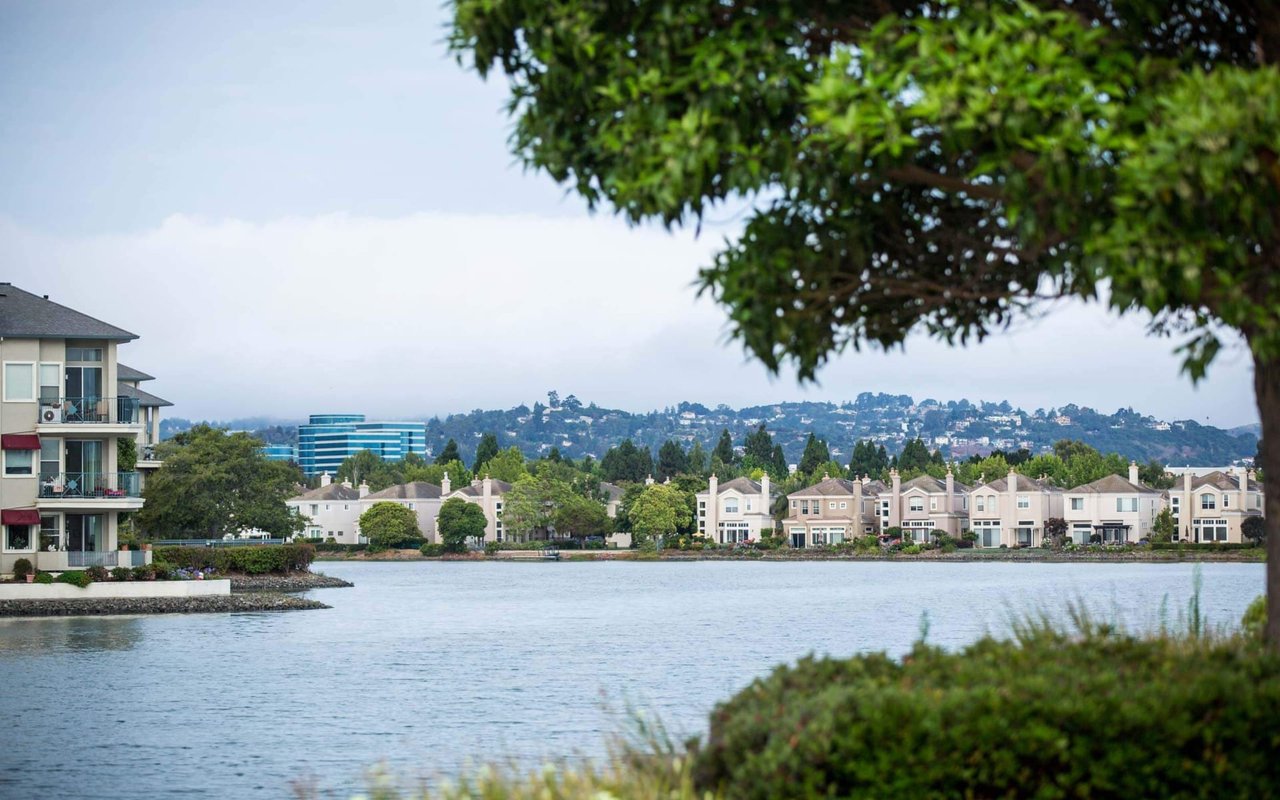 Redwood Shores