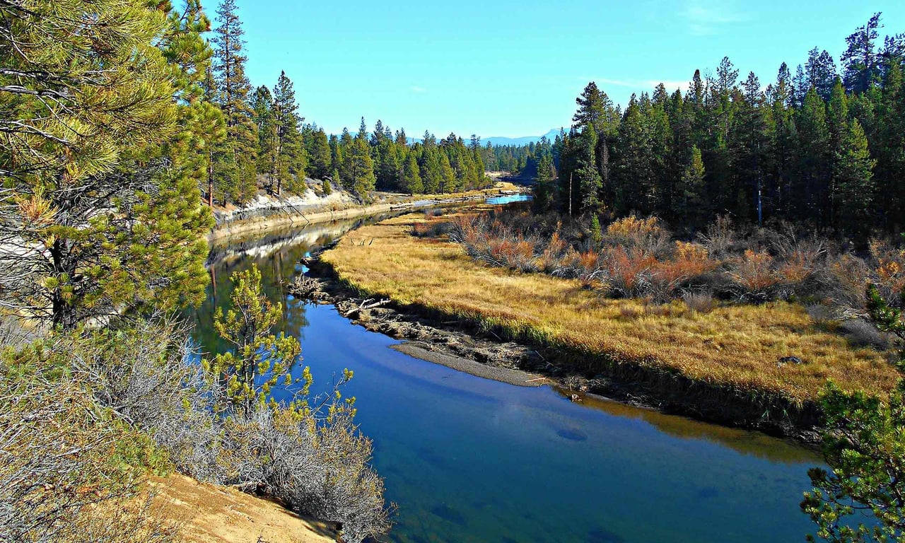 La Pine