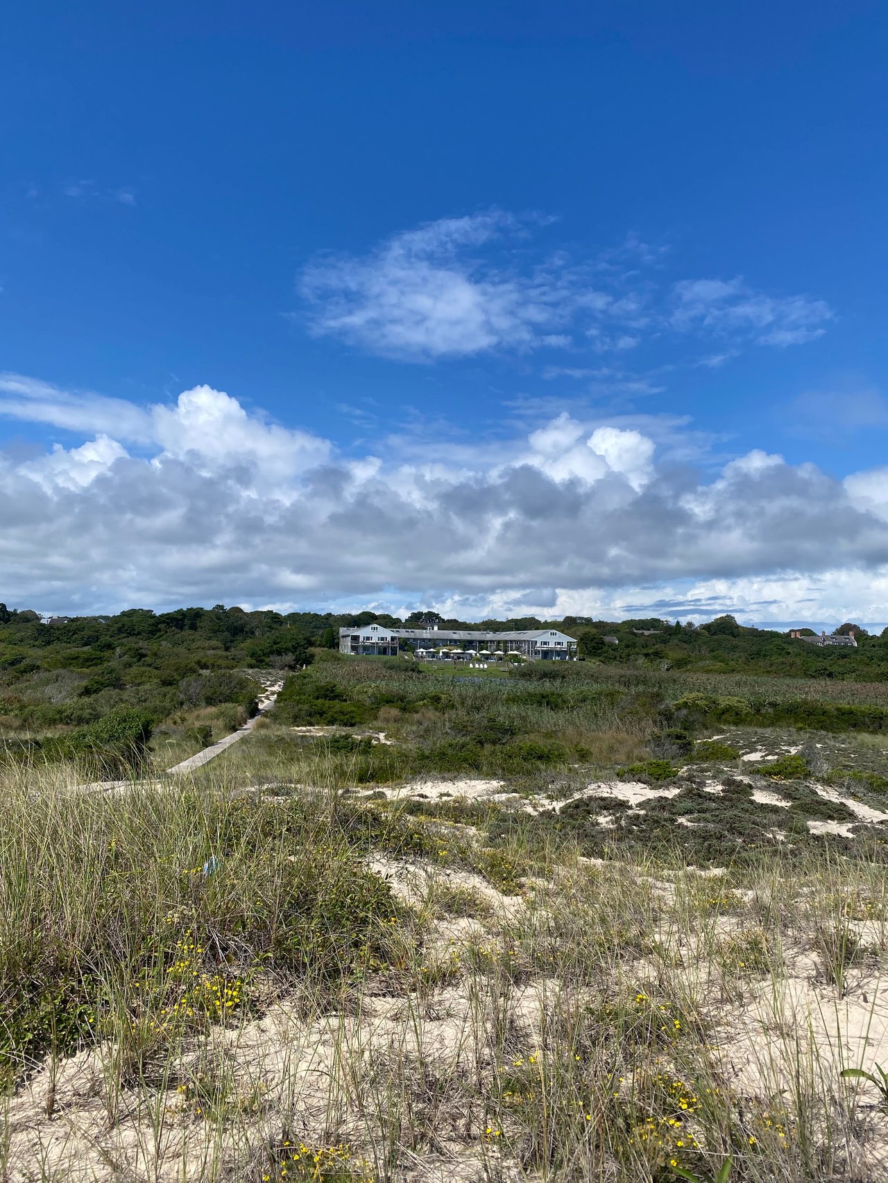 Ocean Dunes Amagansett