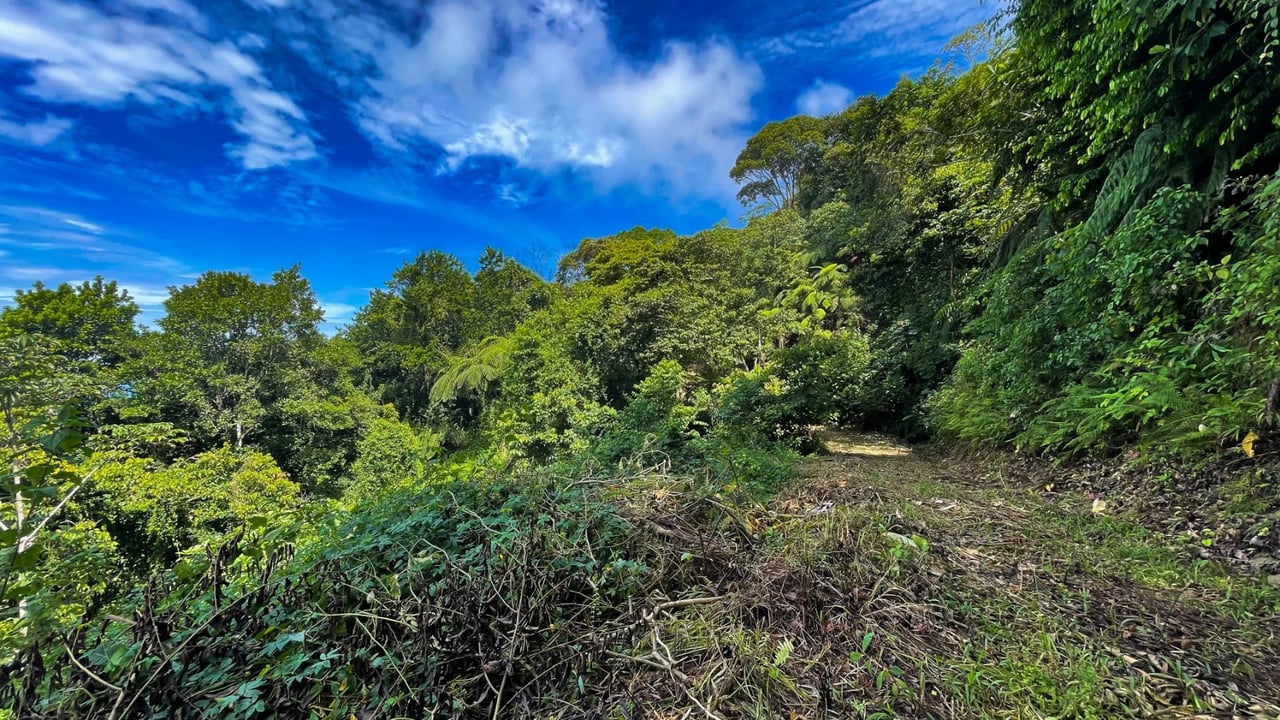 Panoramic Ocean View Lot, Dominical, Puntarenas