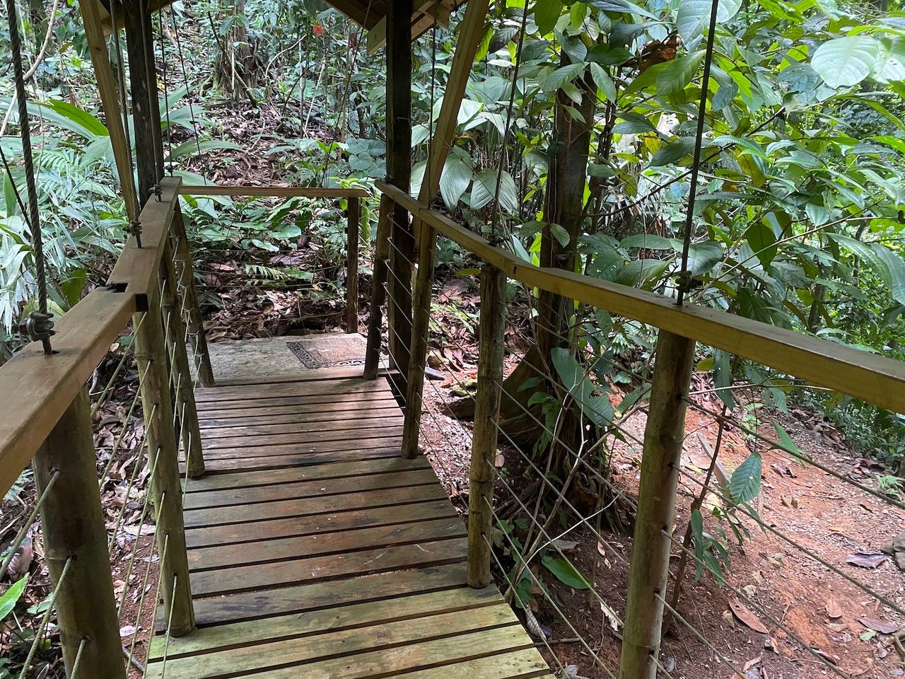 Sustainable Community House, Osa, Puntarenas