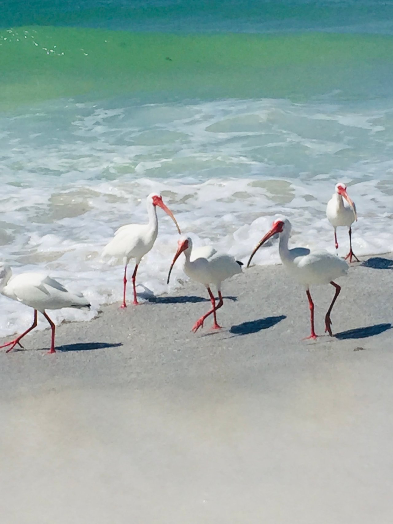 Holmes Beach