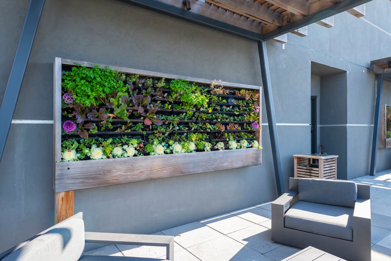 338 Potrero Ave Penthouse 3