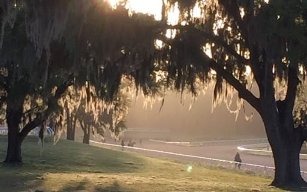 Ocala