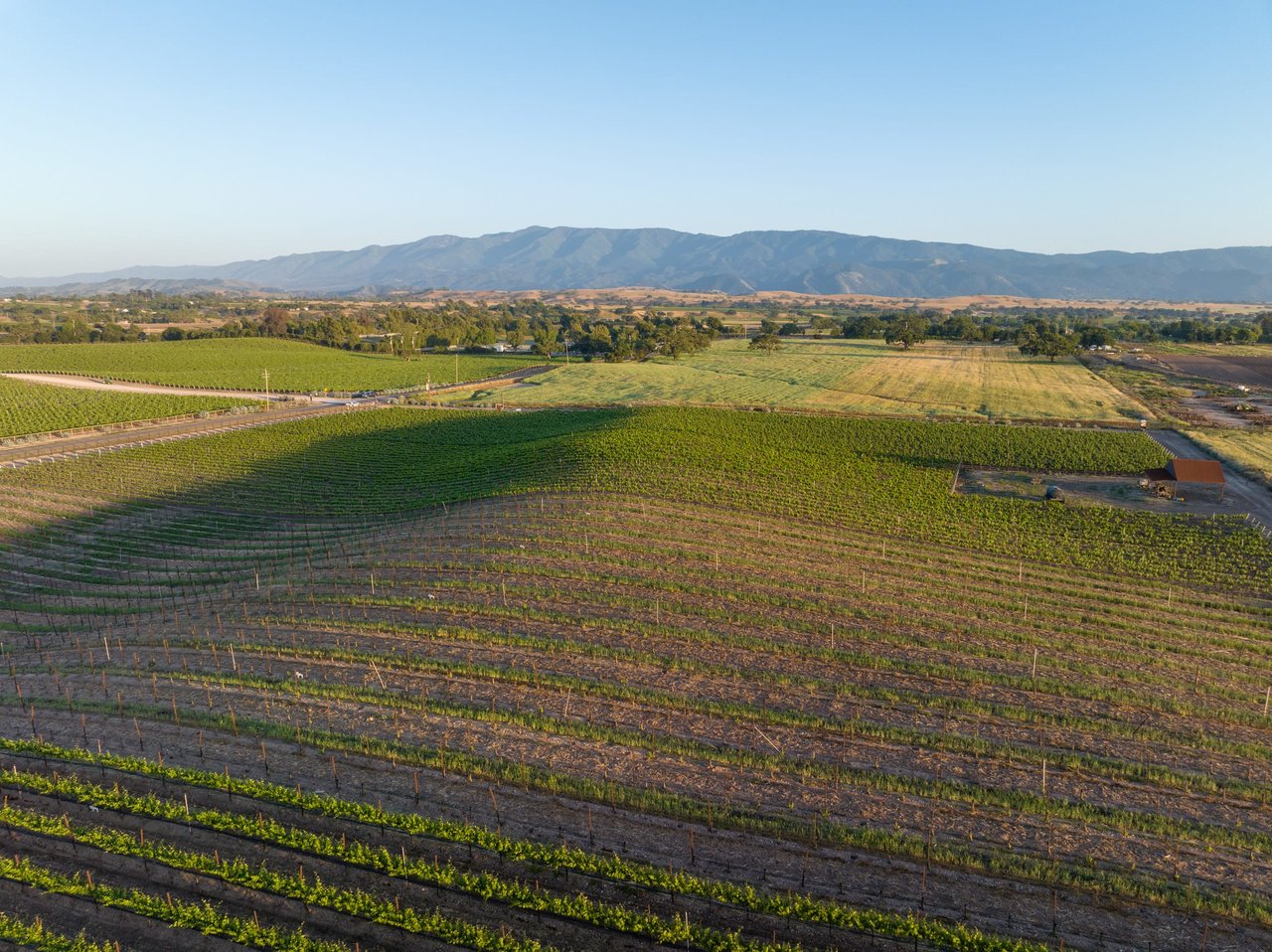 Build your Dream Vineyard Estate