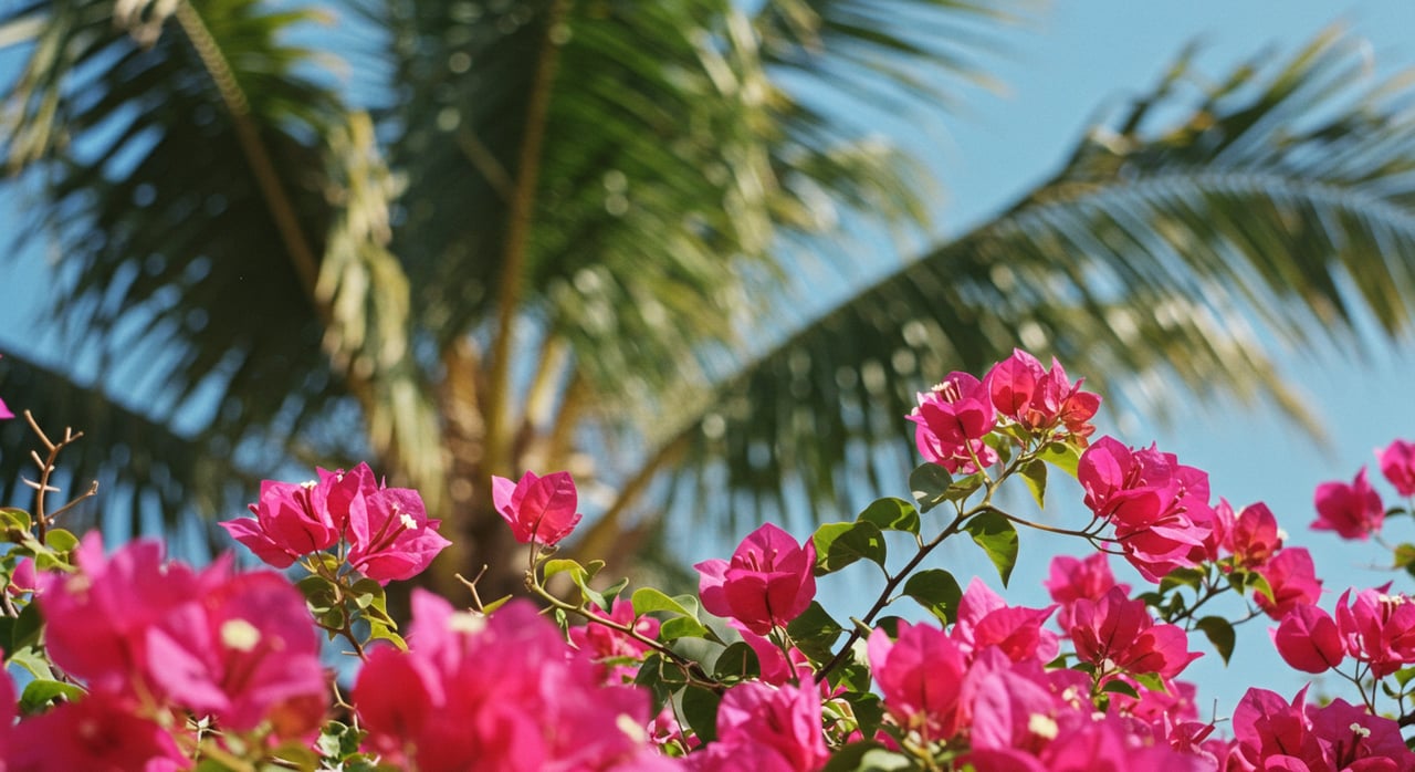 The Ultimate Lifestyle Guide in South Tampa