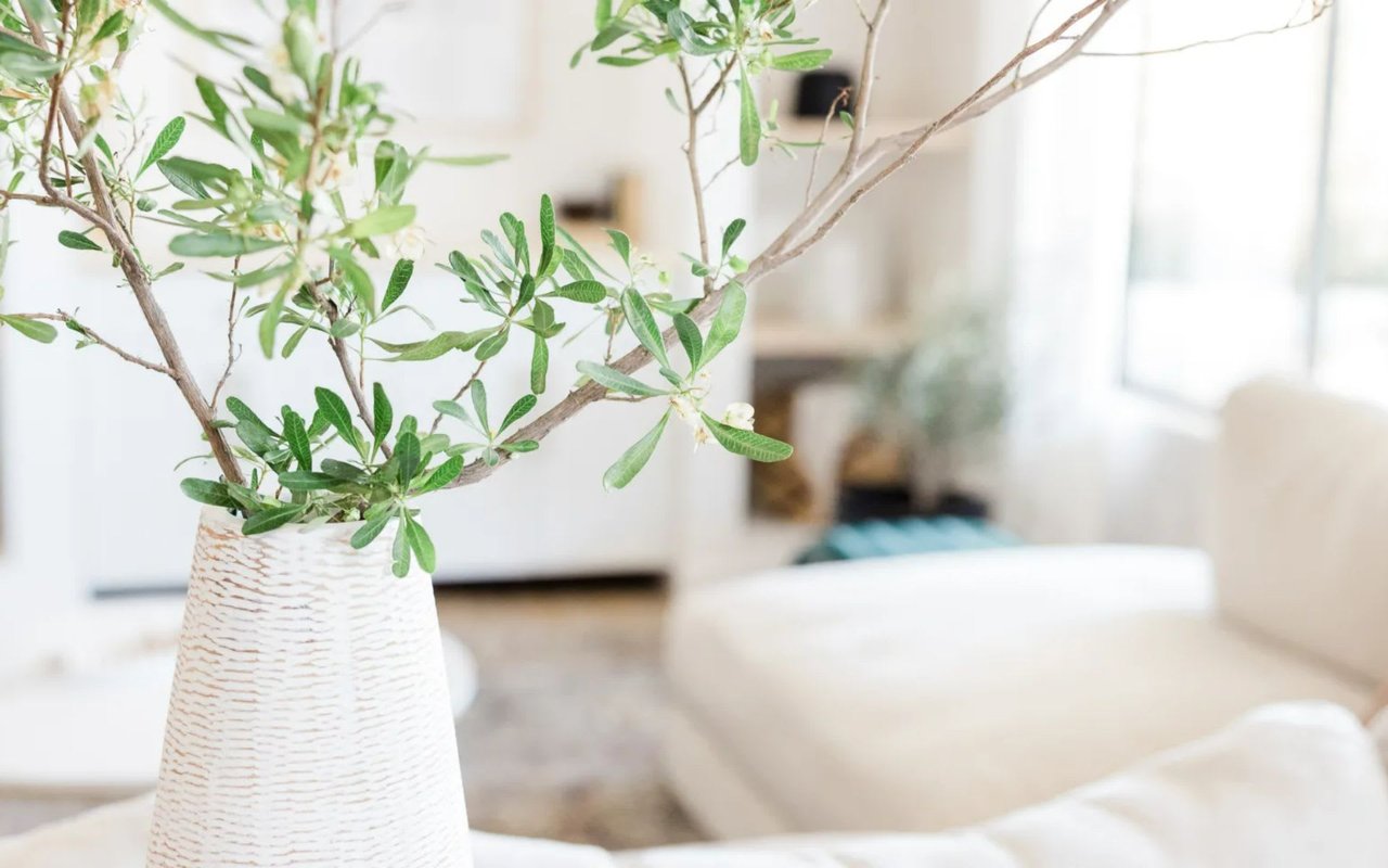 Discover The Top Summer Interior Design Trends