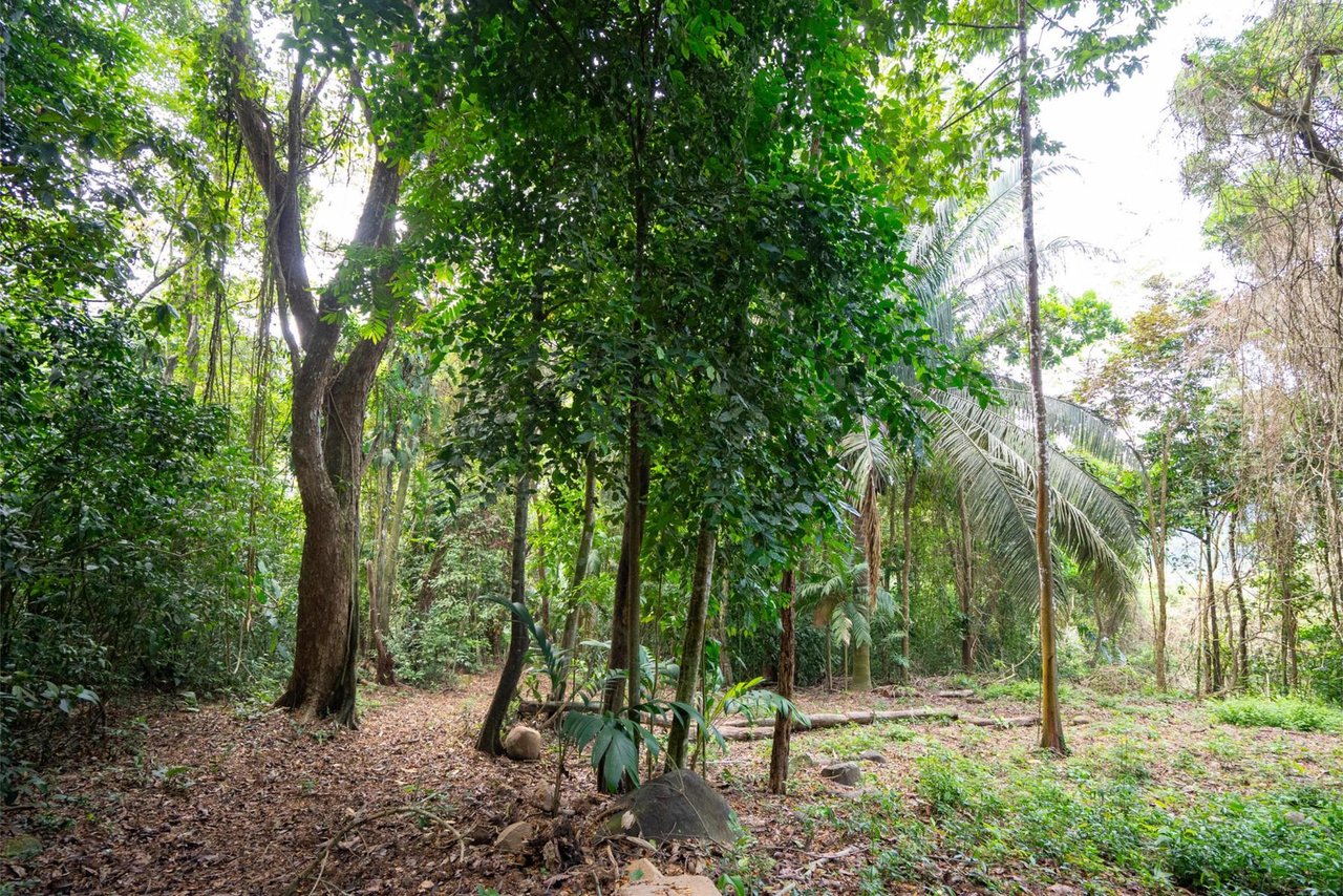 Private Ocean View Development Lot, Dominical, Puntarenas