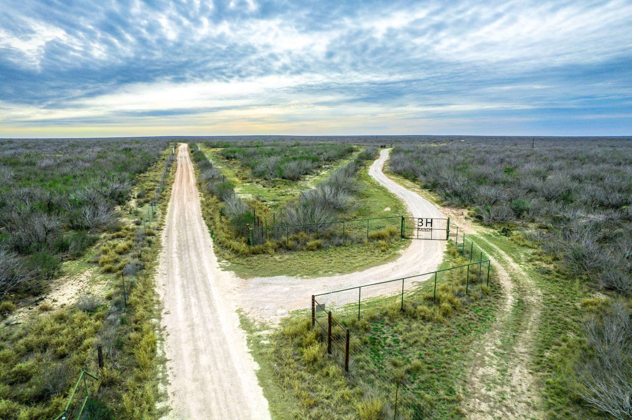 495 Acres CR 401, Freer