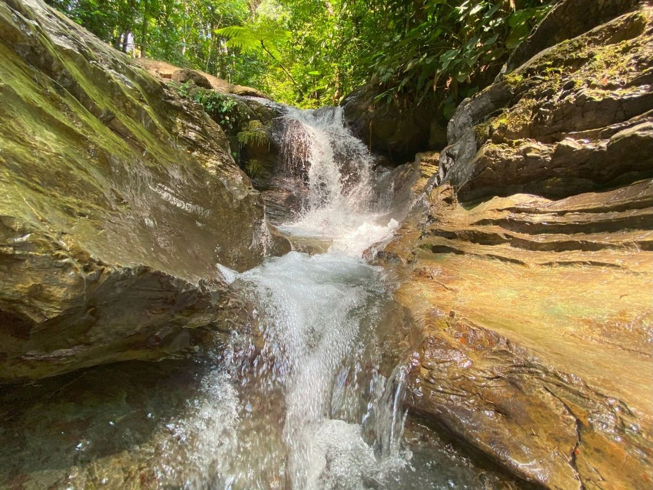 Mountain River View Farm, Osa, Puntarenas
