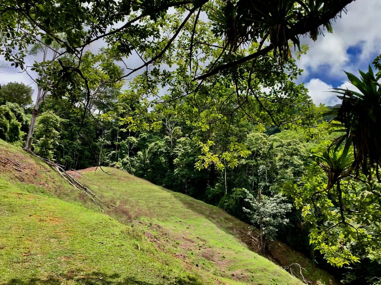 Triple Waterfall Ocean View Land, Dominical, Puntarenas