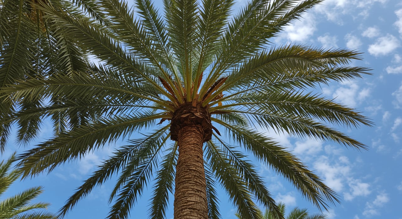 Living in Palm Beach, FL