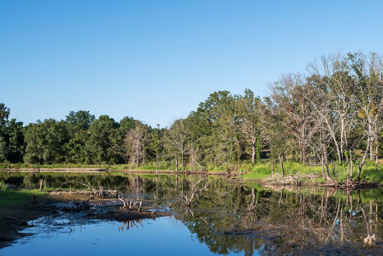 Buena Vista Ranch 